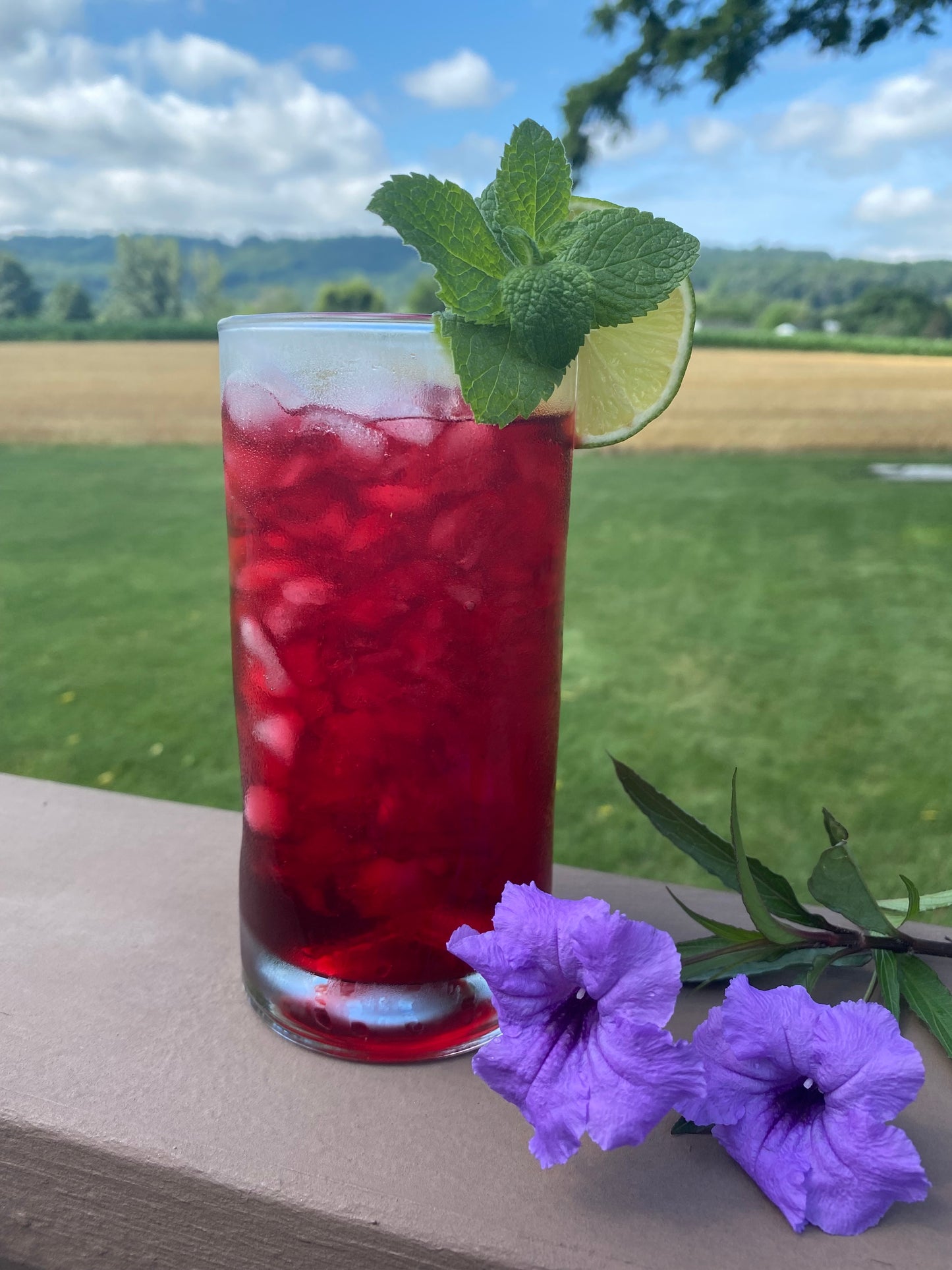 Raspberry Mojito - Herbal
