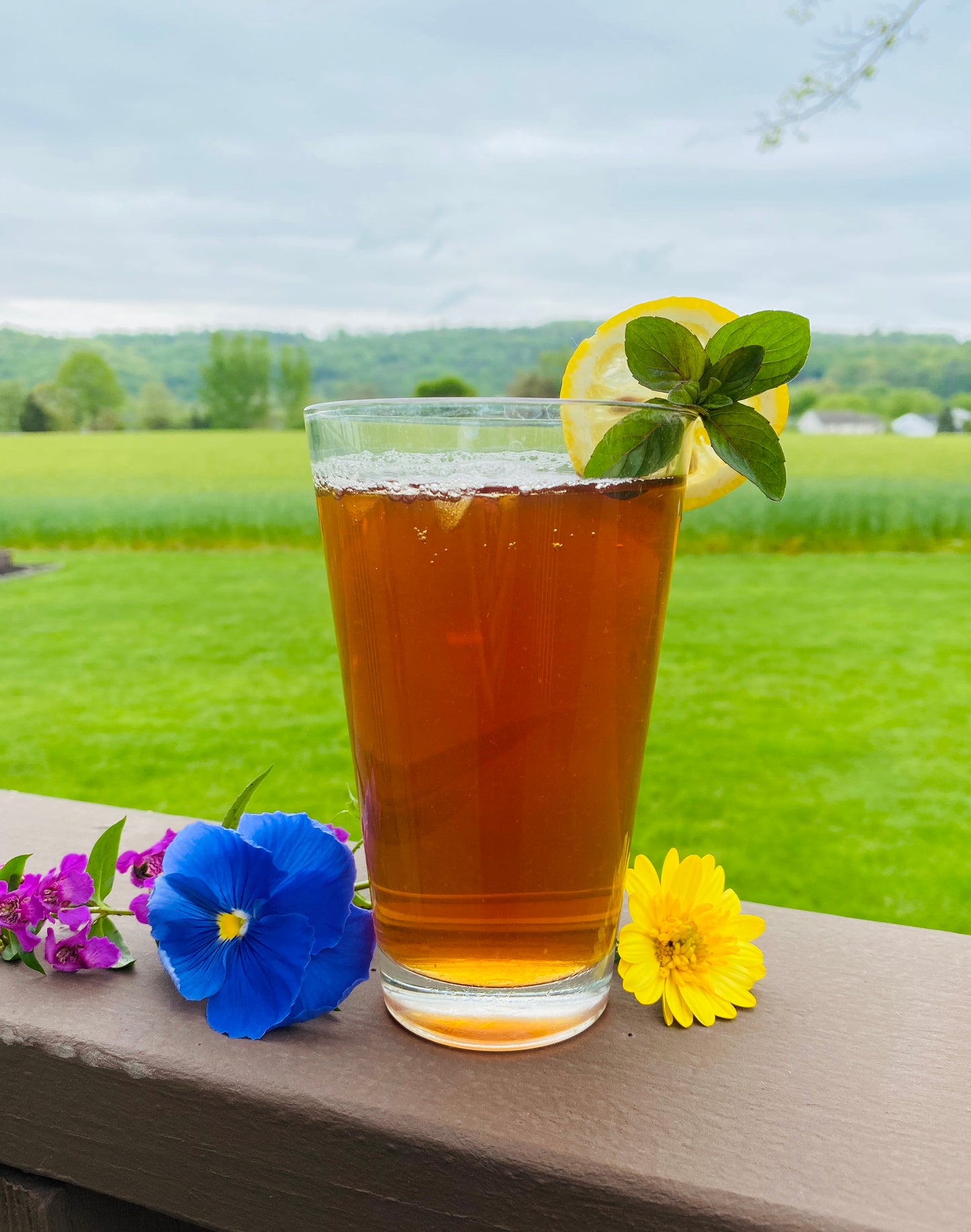 Iced Tea - Sri Lanka Sunshine - Four 1 quart bags