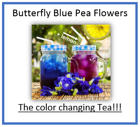 Butterfly Blue Pea Flowers - Herbal Tea