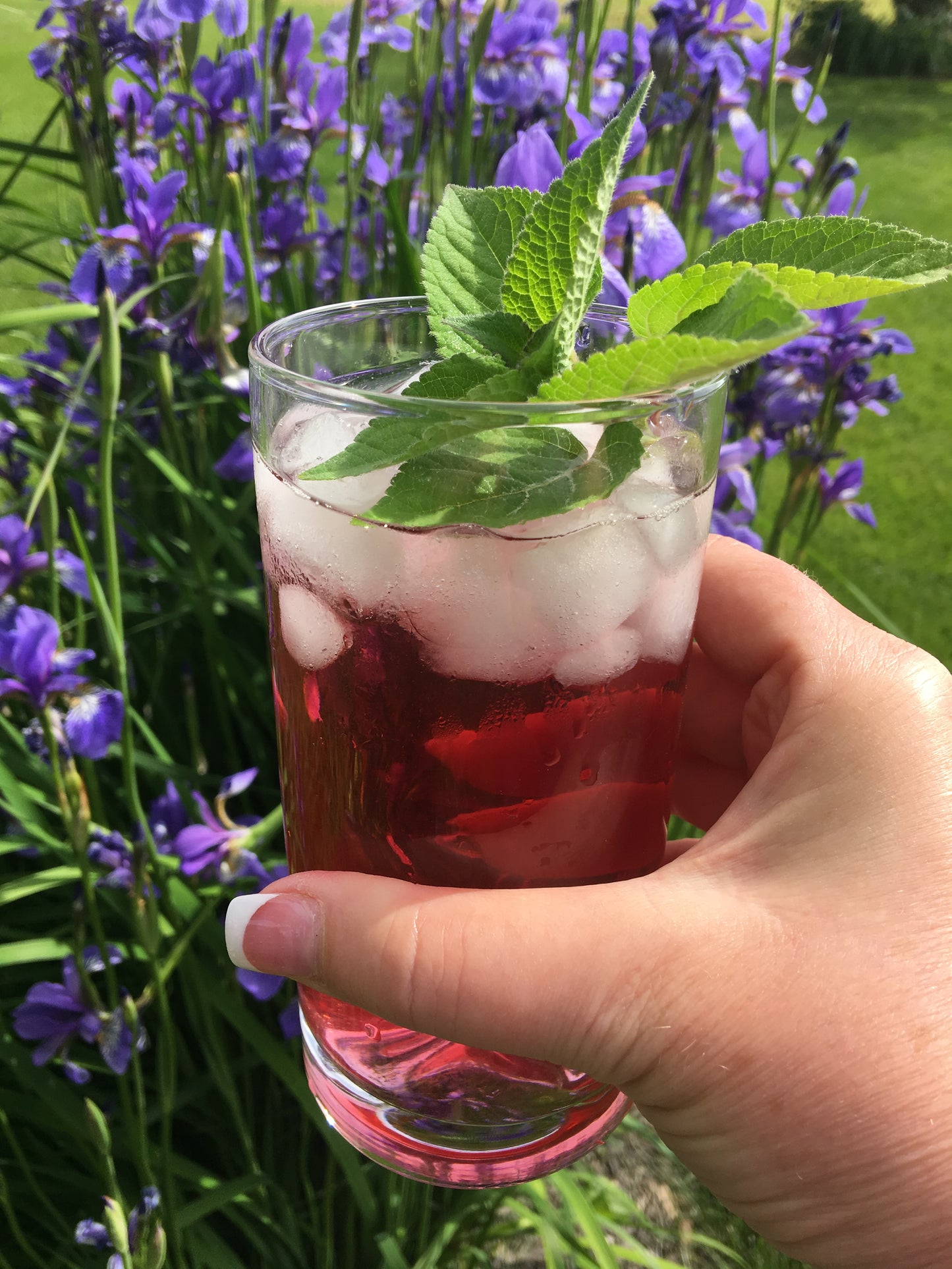 Cranberry Apple - Herbal Tea