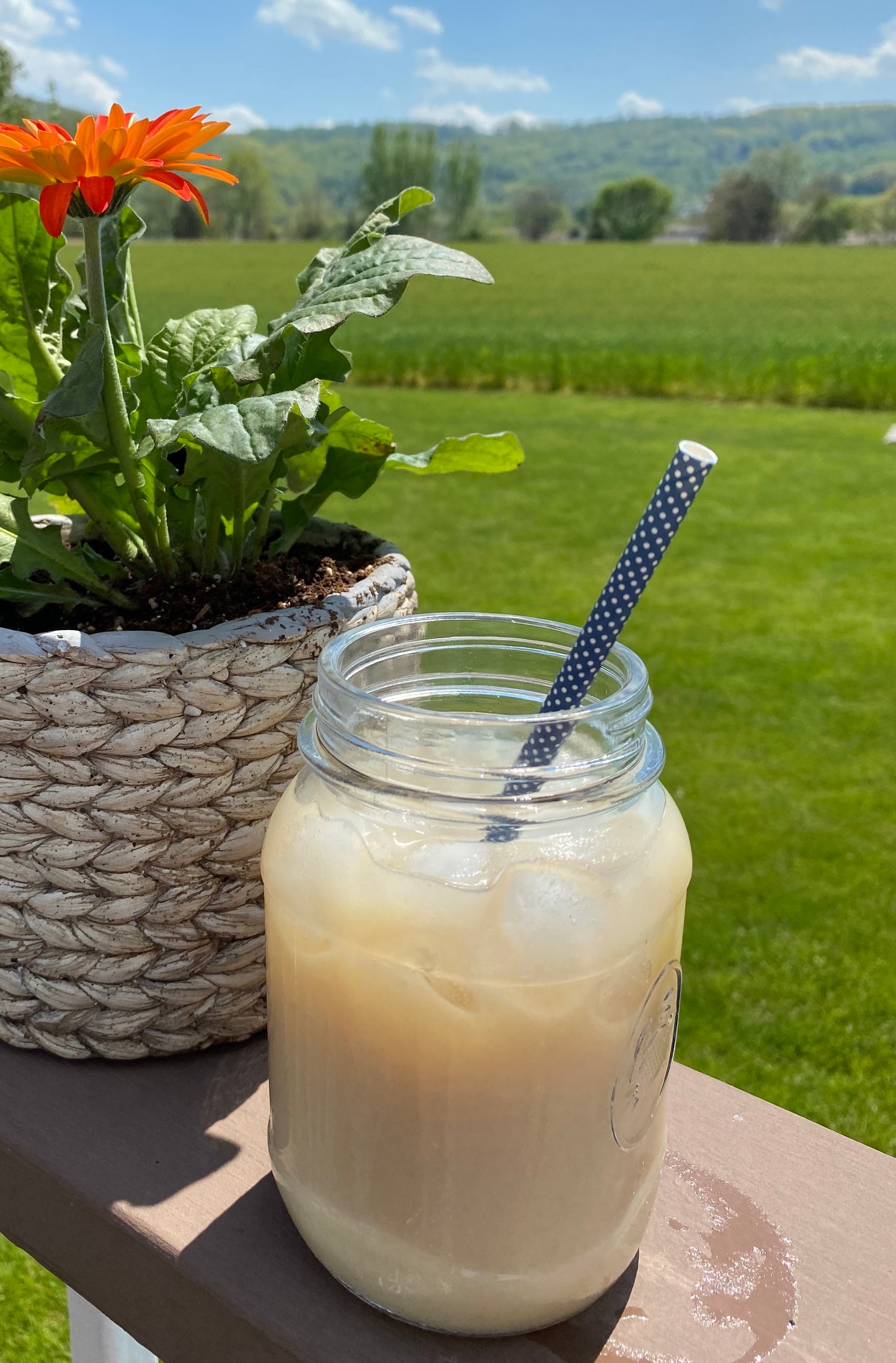 Iced Tea - Masala Chai - Four 1 quart bags
