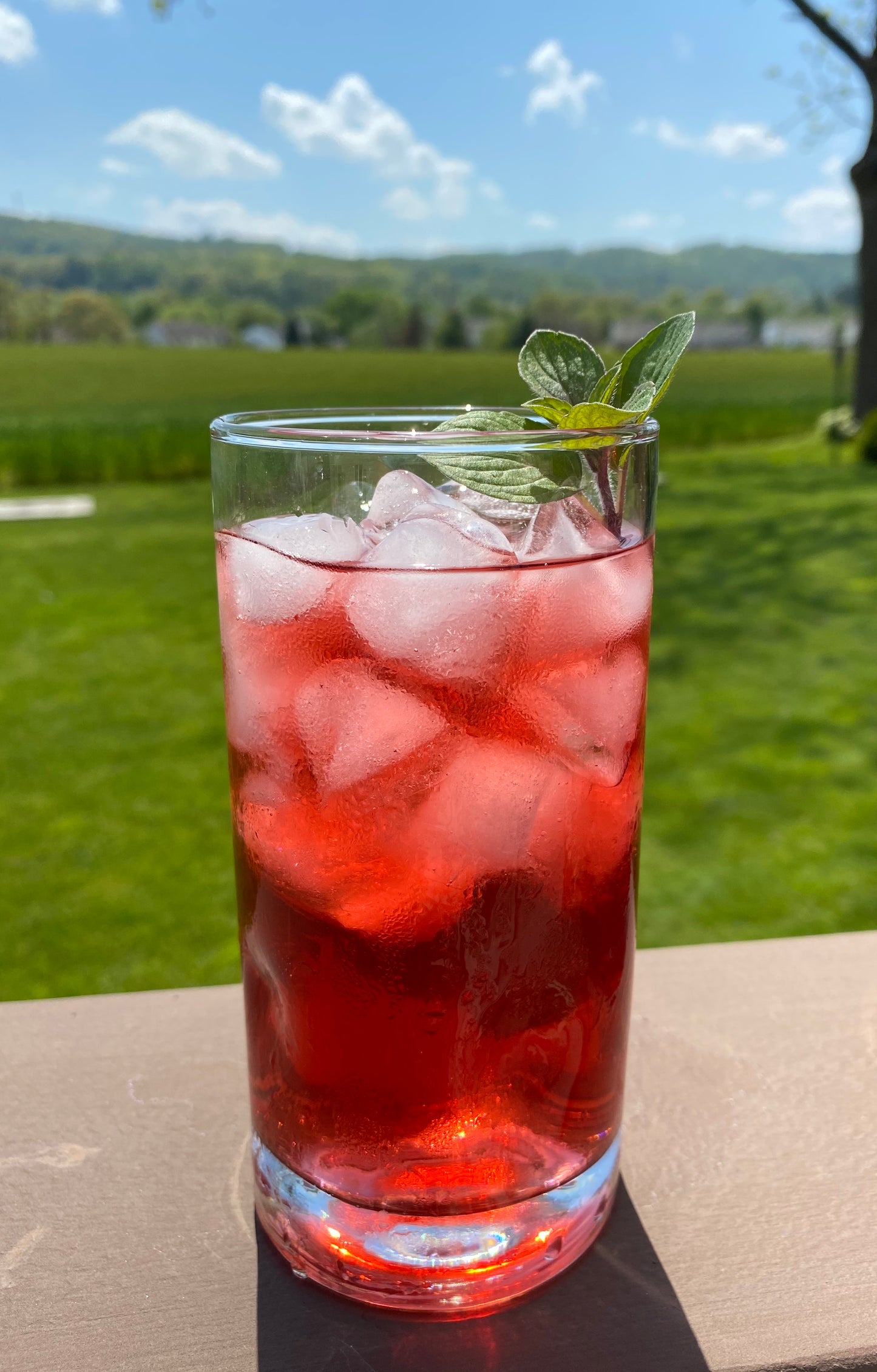 Iced Tea - Berry Blast - Four 1 quart bags