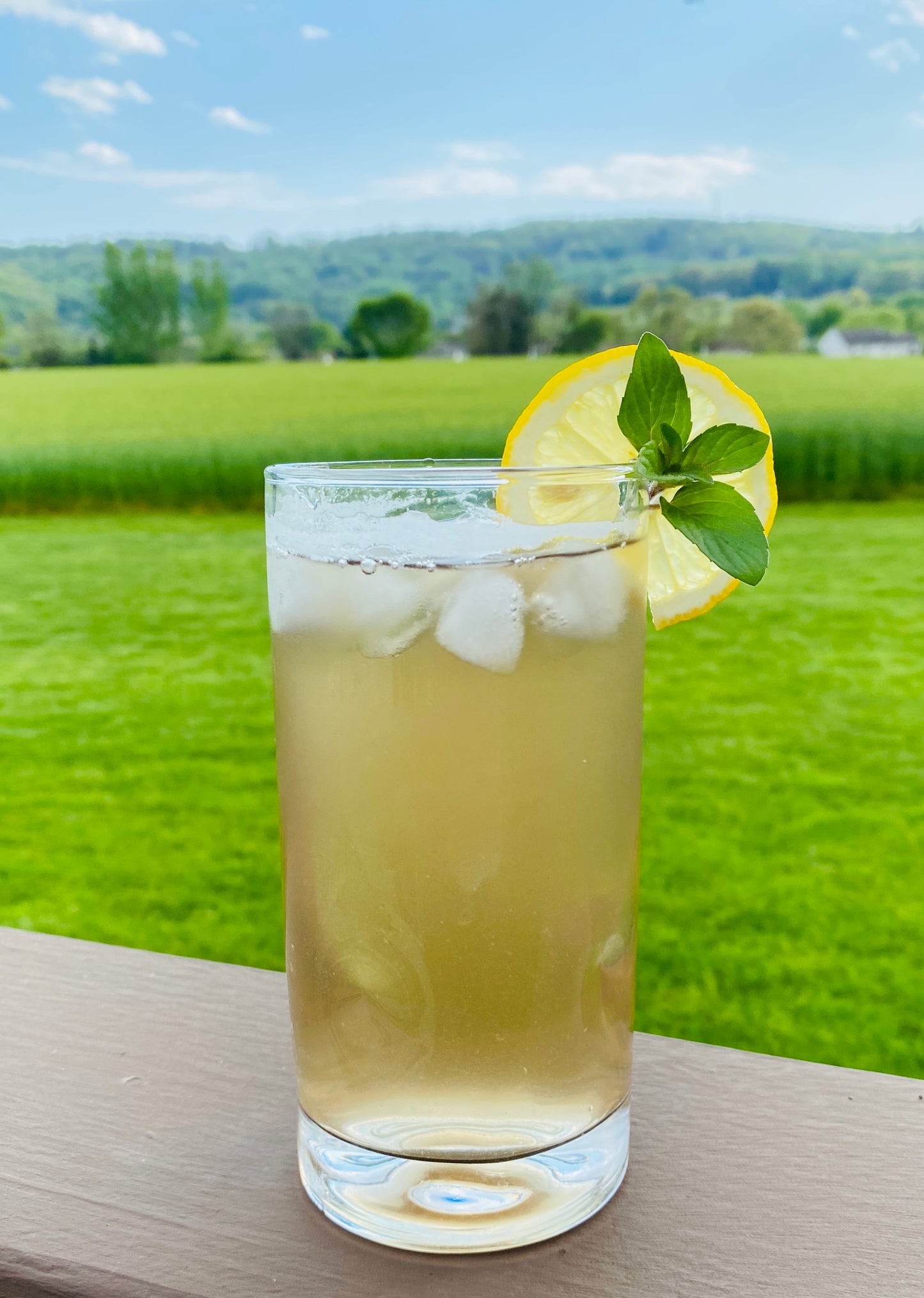 Iced Tea - Blissful Blueberry White - Four 1 quart bags
