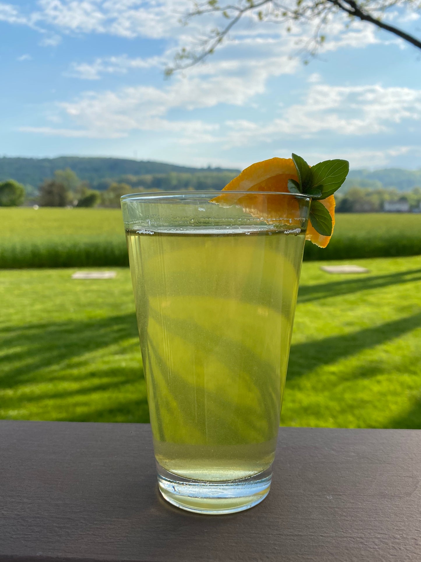 Iced Tea - Magnificent Mango Green - Four 1 quart bags