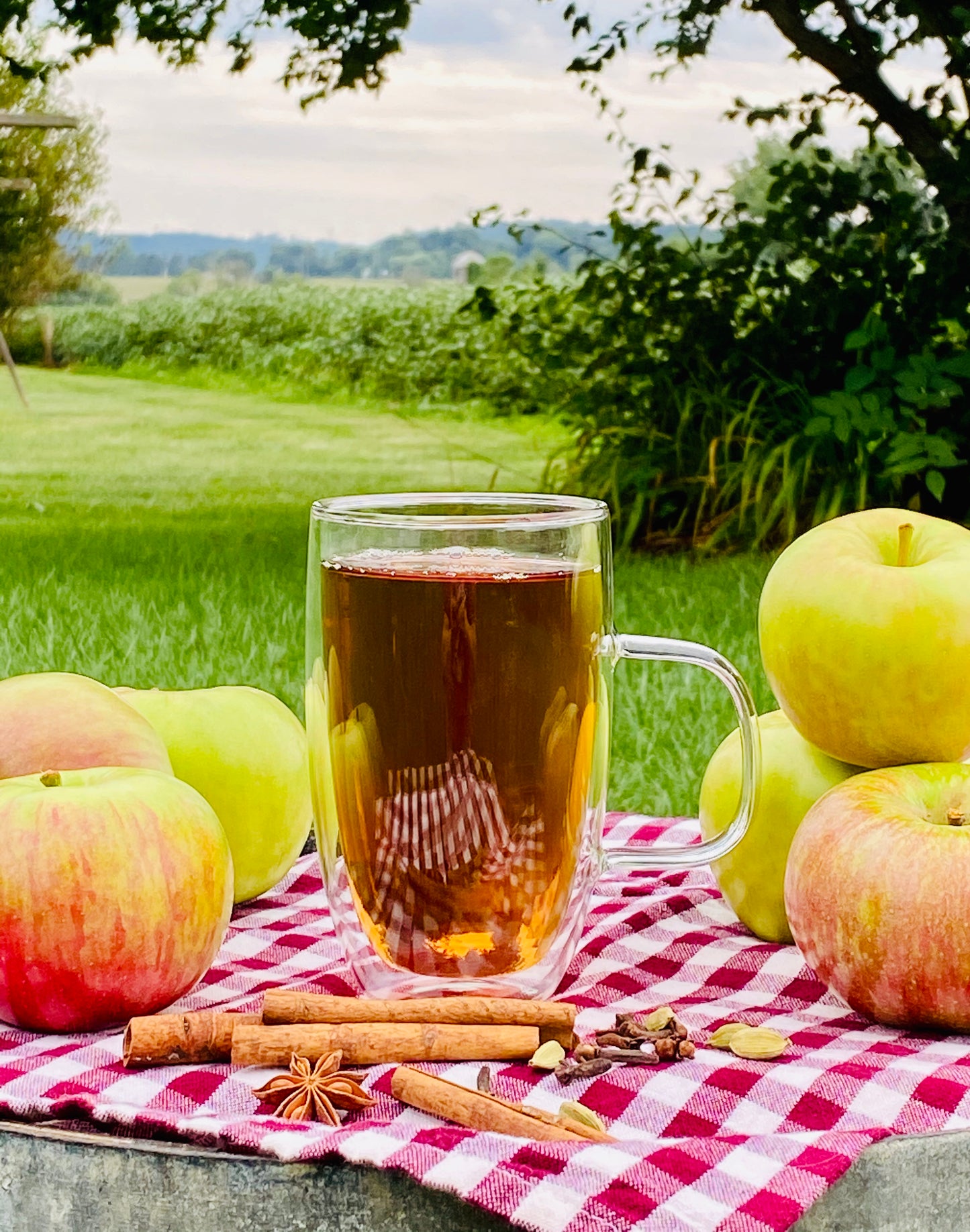 Apple Spice - Black Tea