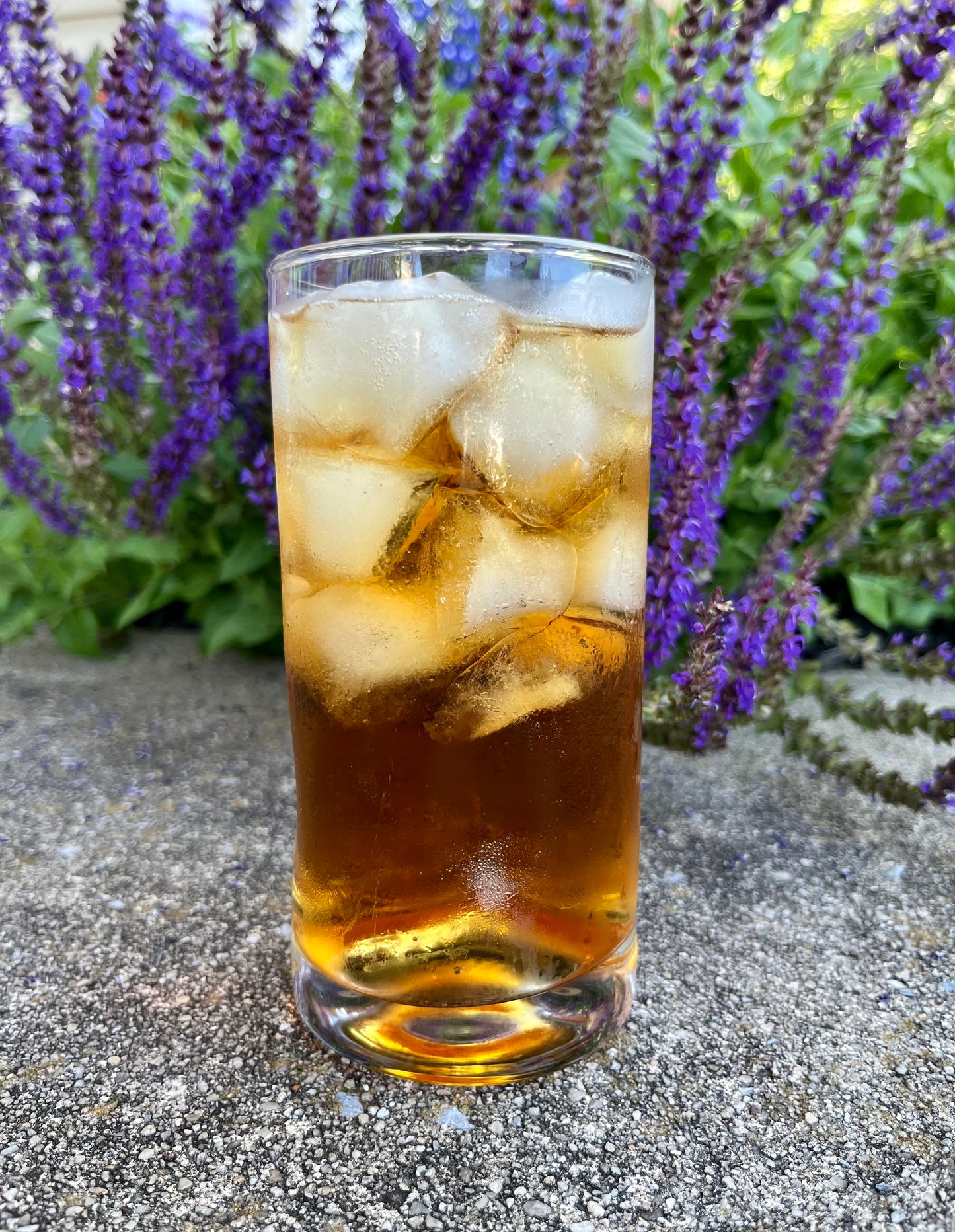 Iced Tea - Cream Black- Four 1 quart bags