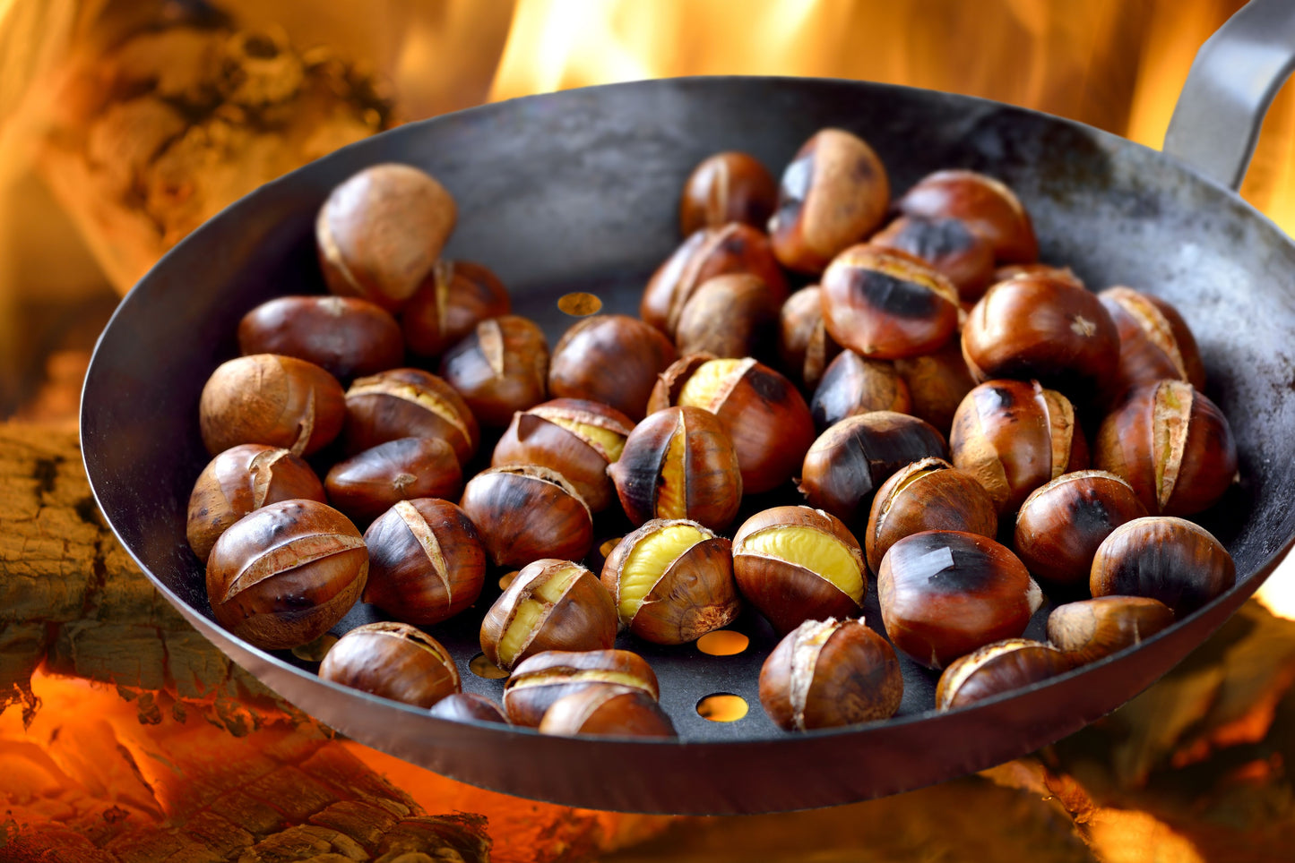 Fireside Chestnut - Black Tea